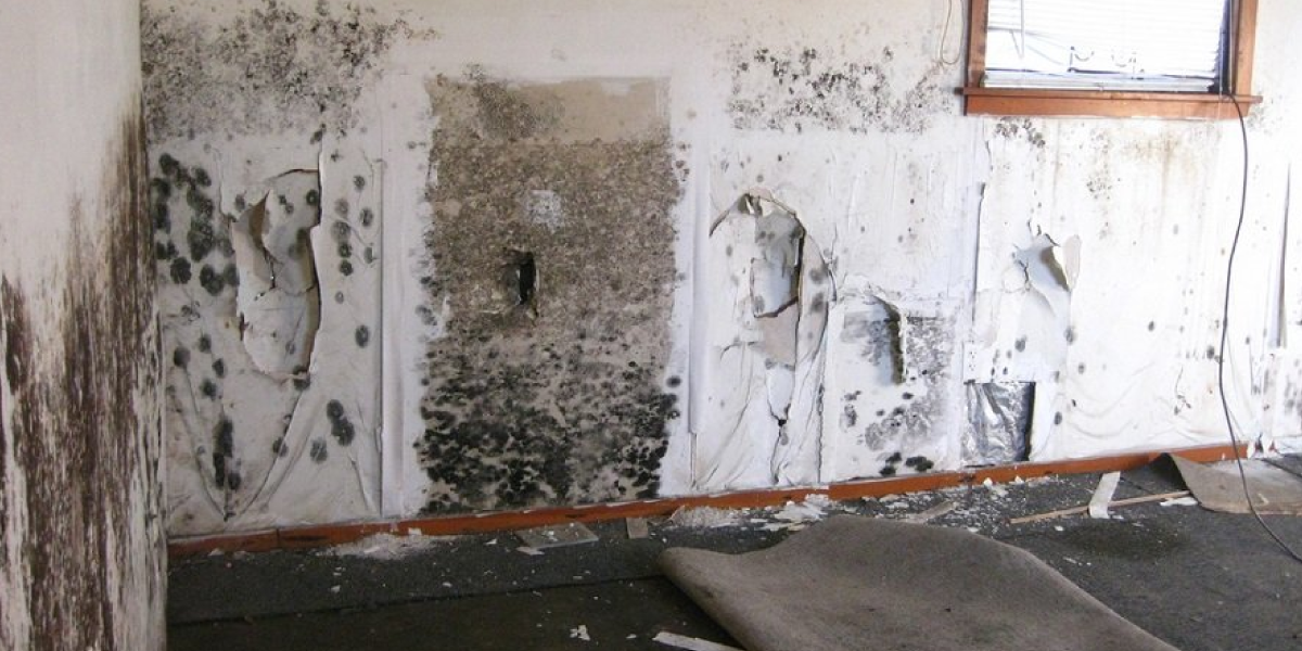 Changes in Your Home Changes in Your Home