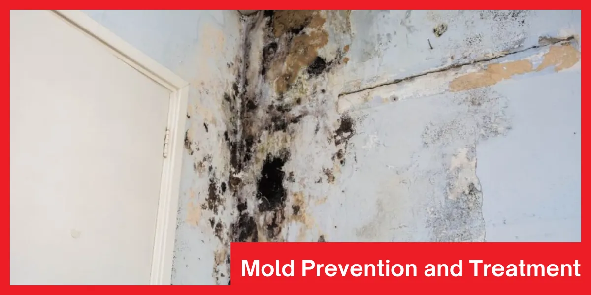 Mold Prevention and Treatment Tips for preventing and treating mold after water damage