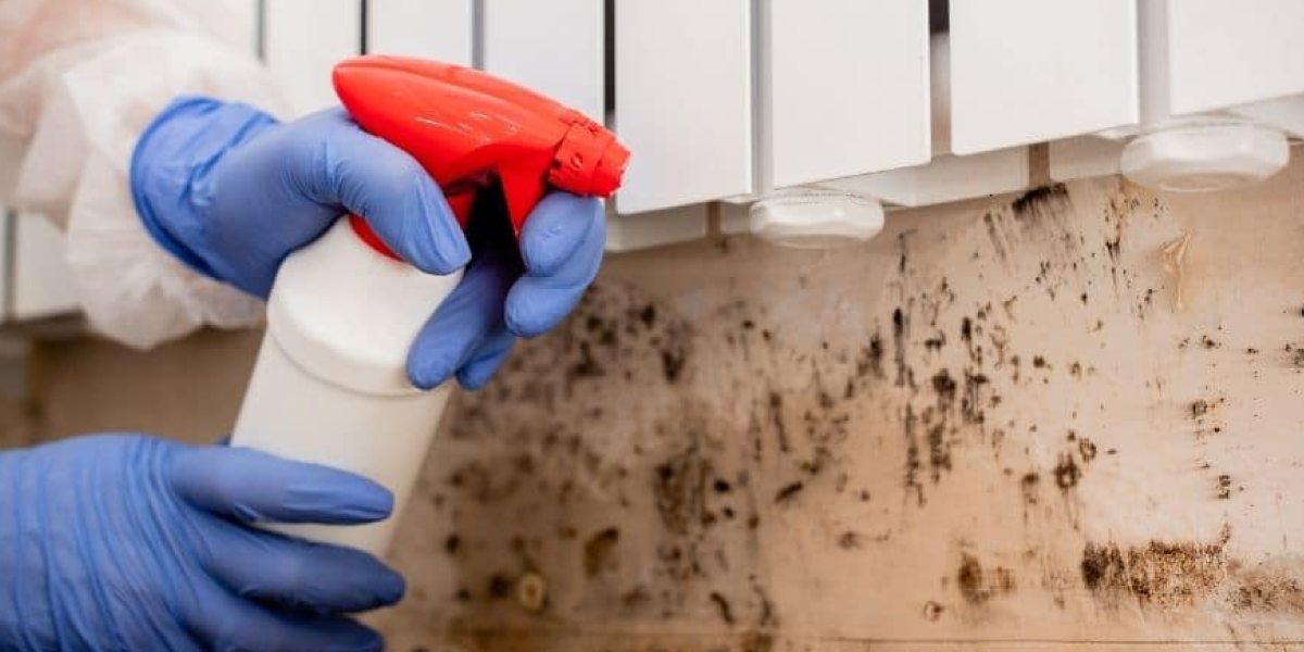Mold Remediation Mold Remediation