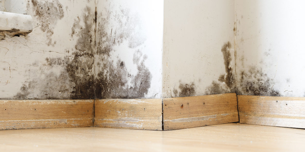 Signs of Water Damage Signs of Water Damage