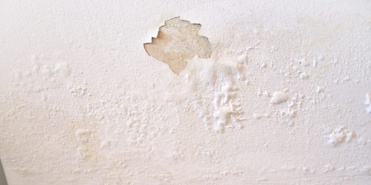 Mold on Drywall or Plaster Mold on Drywall or Plaster